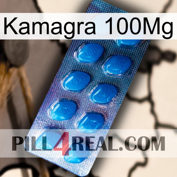 Kamagra 100Mg viagra1.jpg